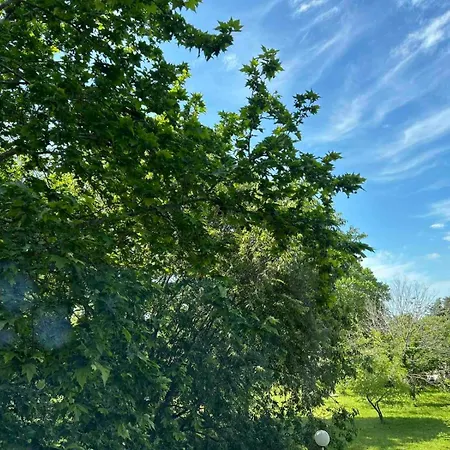 Szálloda морска база даскалов # Daskalov Seaside *